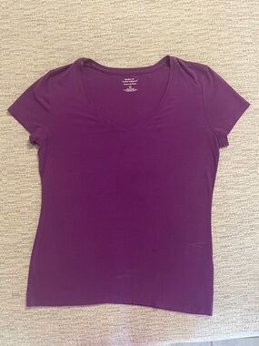 Banana Republic Women's Purple V-Neck Short Sleeve Tee